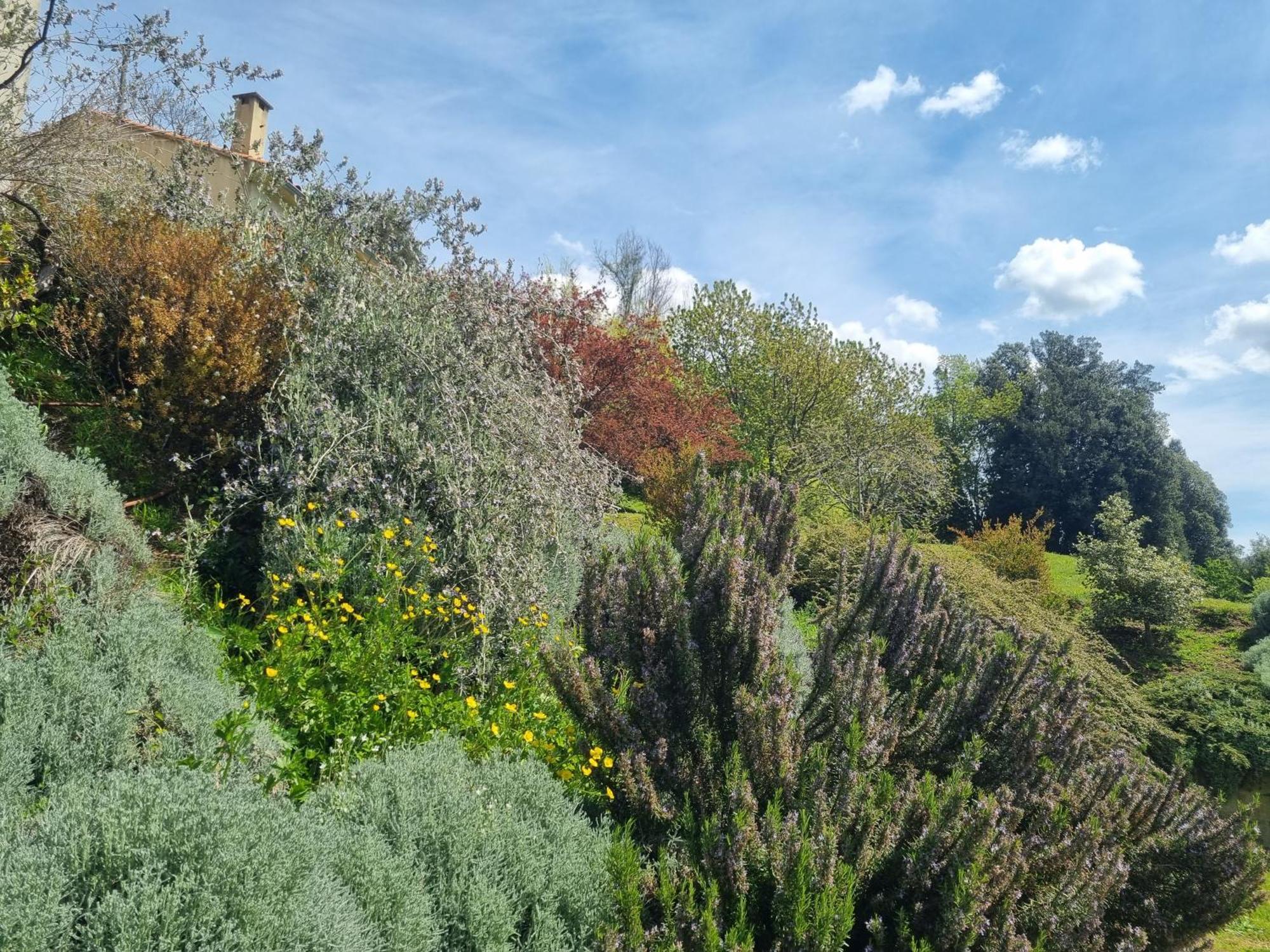 Cote Lac Tolla מראה חיצוני תמונה