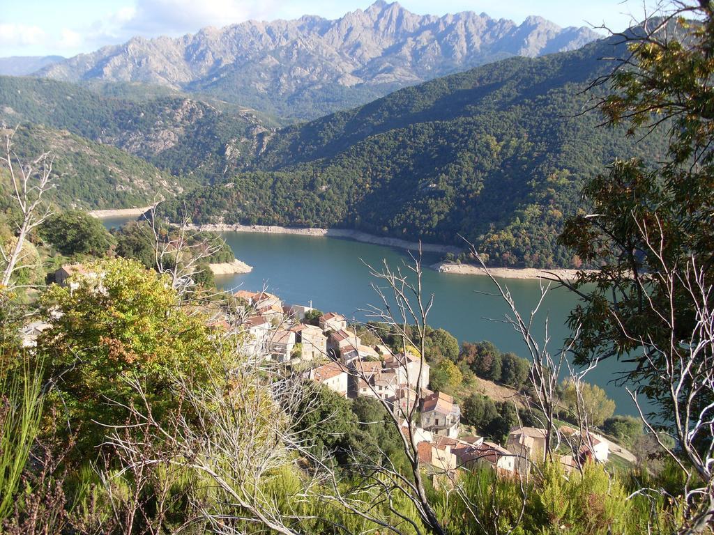 Cote Lac Tolla חדר תמונה
